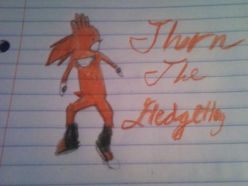  Thorn The Hedgehog