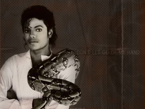  WONDERFUL MJ