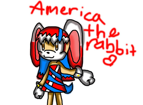  America the rabbit