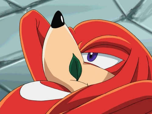  Knuckles Chillin'