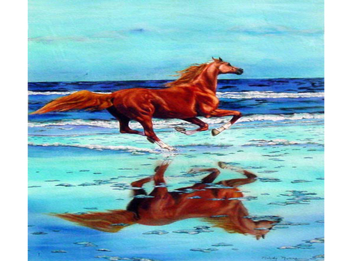  A horse in the sea
