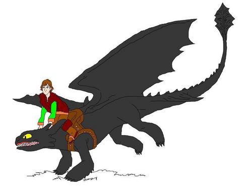 Hiccup and Toothless