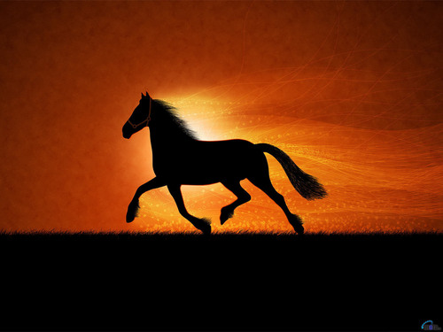  еще horse wallpapers!