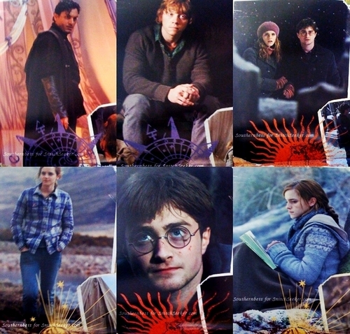  New Harry Potter and the Deathly Hallows: Part I promos from 2011 mural calendar