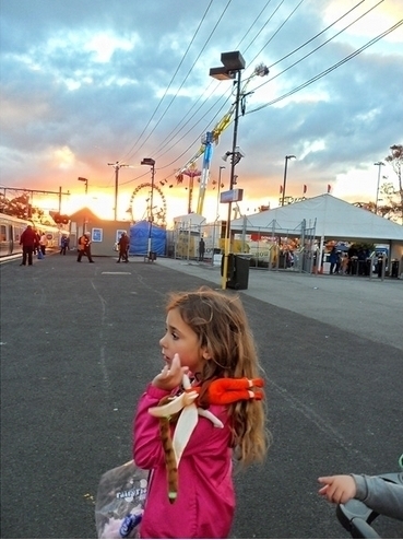  Renesmee living the fair