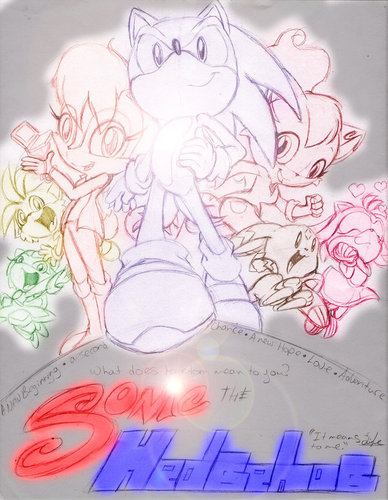  Sonic and the Freedom Fighters