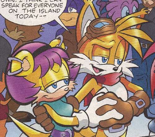  Tails and his wife, Mina (MxYL)