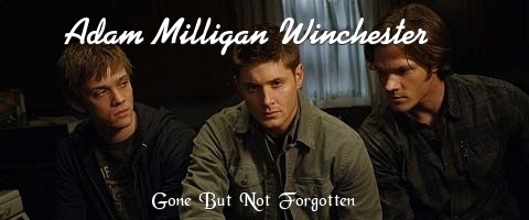  The Winchester brothers