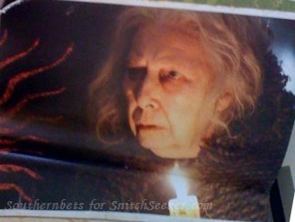 new Harry Potter and the Deathly Hallows: Part I promos from 2011 wall calendar