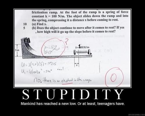  stupidity
