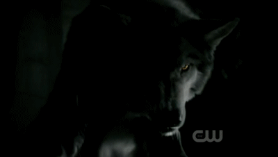  2x03 Bad Moon Rising - werewolf