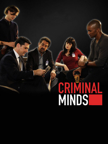  Criminal Minds Season 6