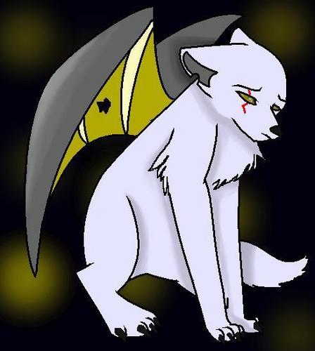  Me as a wolf StormTheWolf(With wings out)