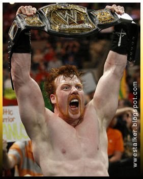  Sheamus - WWE Champion