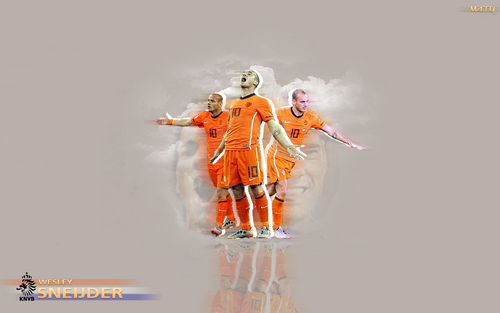  Wesley Sneijder
