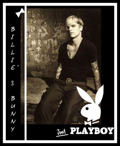  Your favorito! Bunny ...