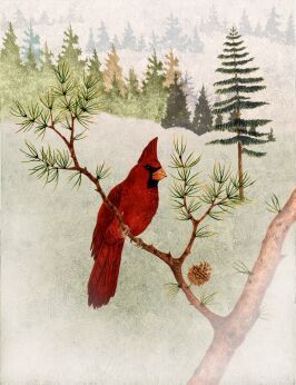  Cardinal Painting