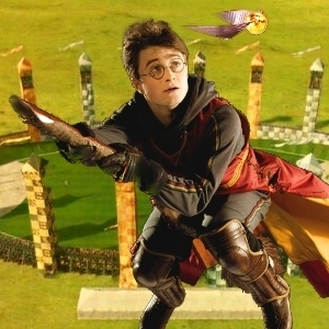 Harry and the Snitch