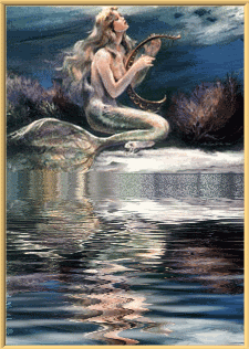  Reflections Of A Mermaid