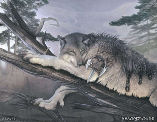  lobos and hombres lobo