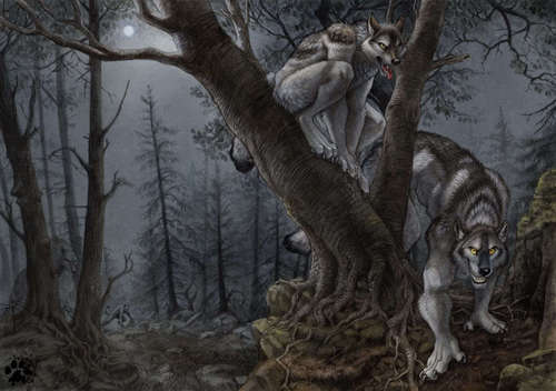  Wolves and Werewolves