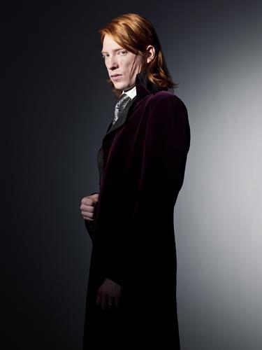 Bill Weasley in Deathly Hallows
