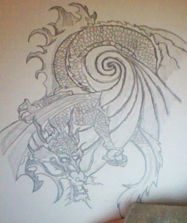  Dragon drawings *drawn kwa me*