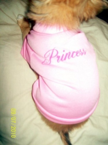 MsPrincess in Pink Princess Shirt
