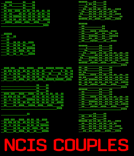  NCIS COUPLES
