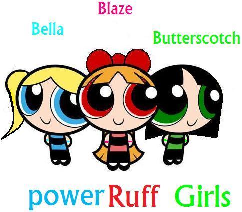  Powerpuff girls and Rowdyruff boys Kids