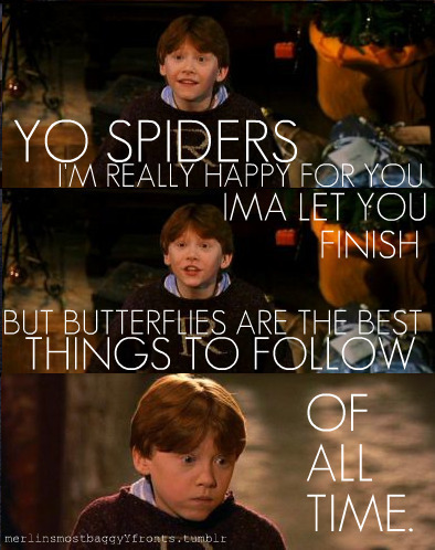  Spiders and Ron