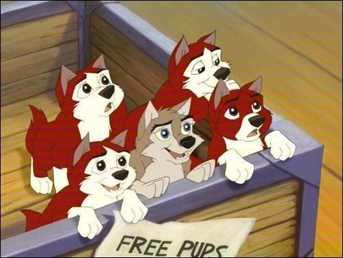  Aleu and the litter