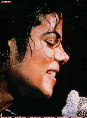  MICHAEL - THE KING OF POP