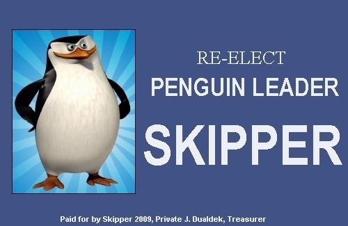 Skipper's Election Poster