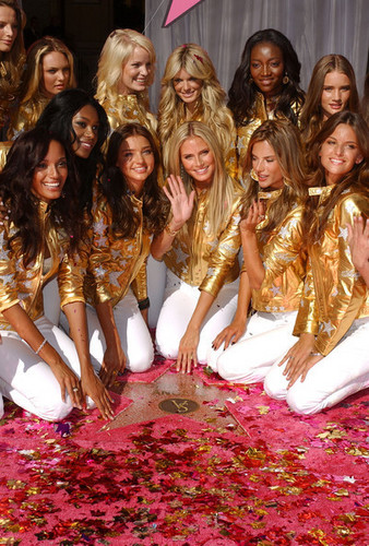 Victoria's Secret Angels - Award of Excellence