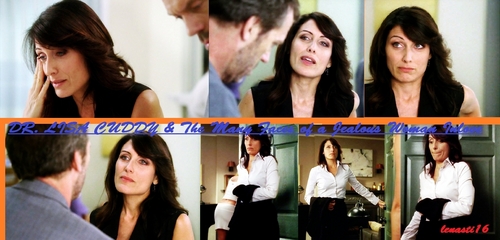 DR. LISA CUDDY & THE MANY FACES OF A JEALOUS WOMAN INLOVE