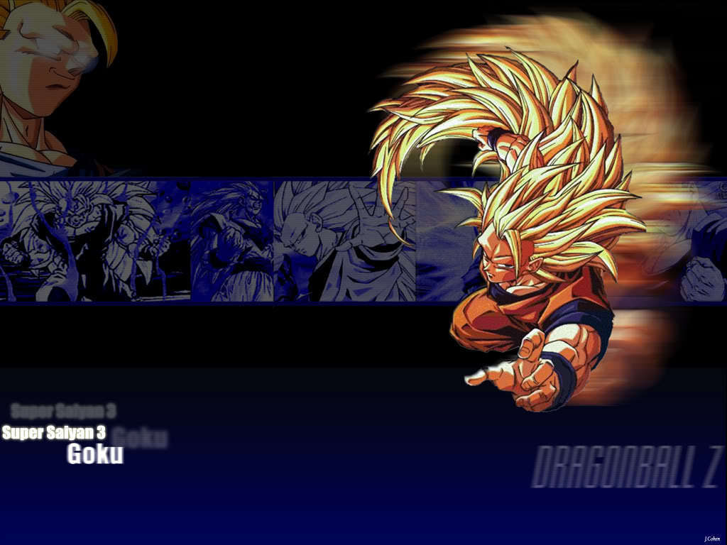 Goku Super Saiyan 3 hình nền 4 - Dragonball Z Movie Characters hình nền  (16255477) - fanpop