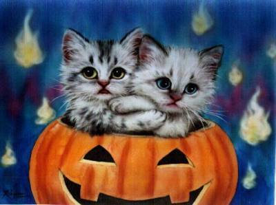  halloween gatos