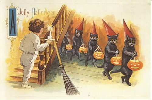  Halloween Katzen