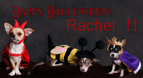  Just thought we'd drop da to wish te a happy Halloween Rachel :*
