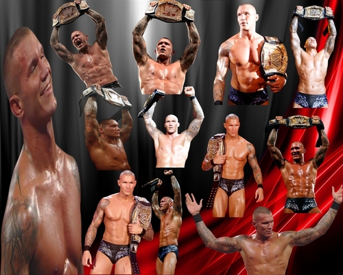  Orton new WWE Champion
