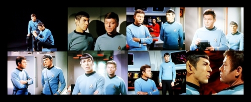 Spock and Bones Picspam