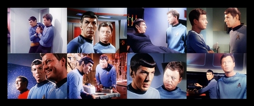  Spock and 본즈 Picspam