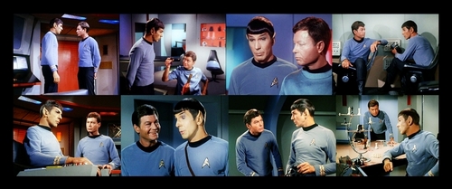  Spock and Bones Picspam