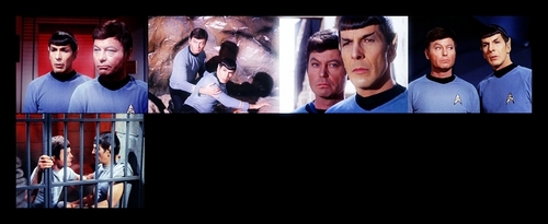 Spock and Bones Picspam