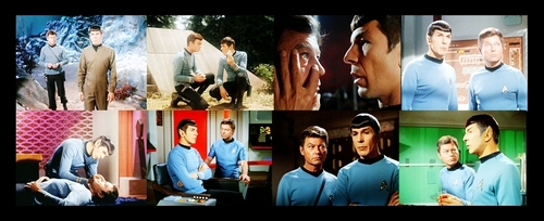  Spock and অস্থি Picspam