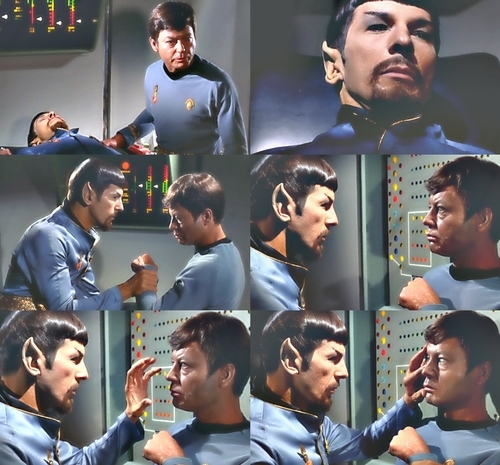 Spock and Bones