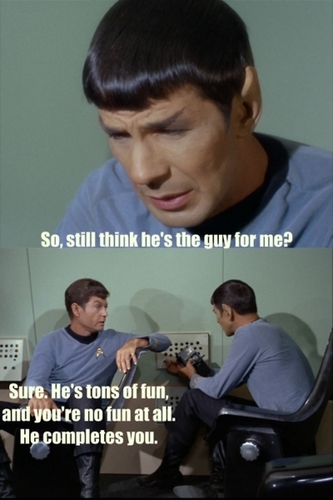  Spock and बोन्स