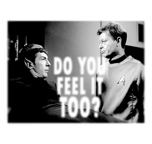  Spock and bones