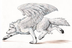  Winged Wölfe